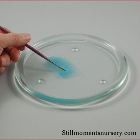 Paint Palette - Glass