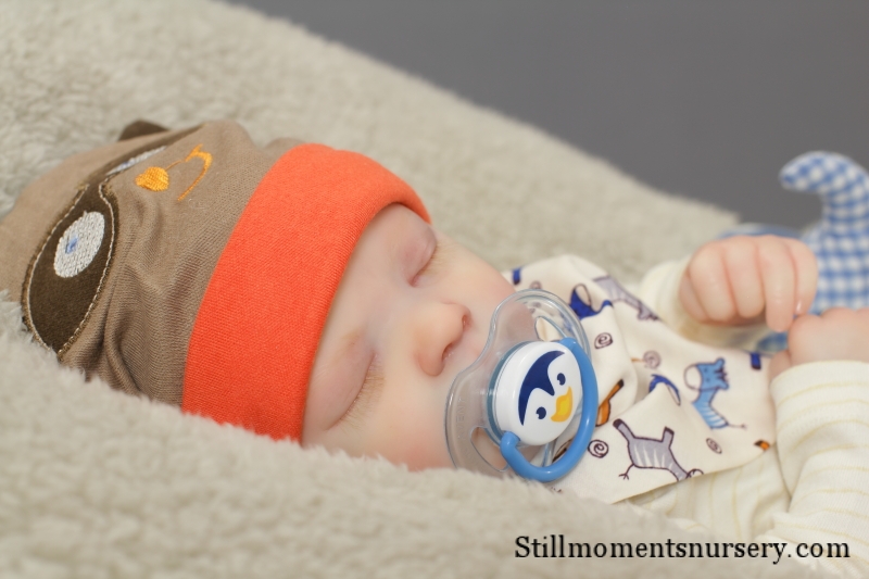 Reborn Baby Boy Jeremy by Nikki Holland - Image 11