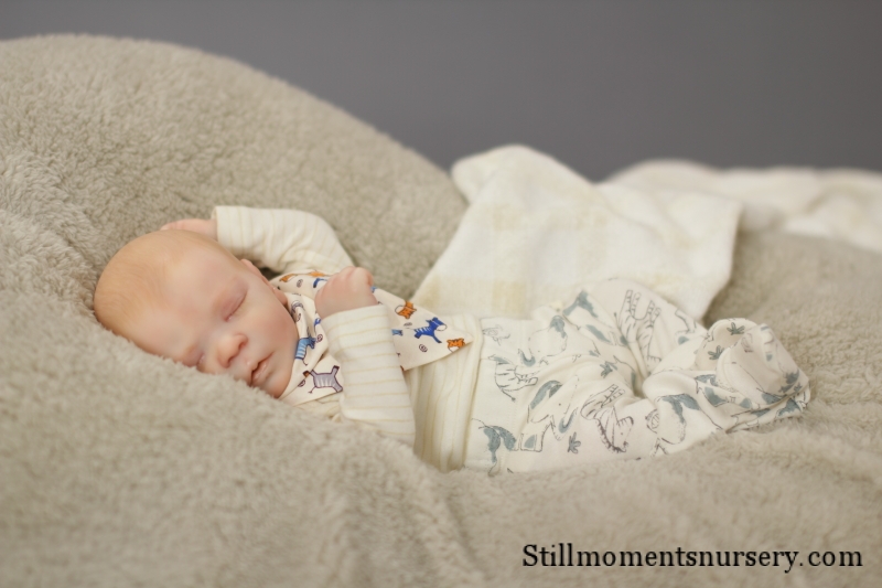 Reborn Baby Boy Jeremy by Nikki Holland