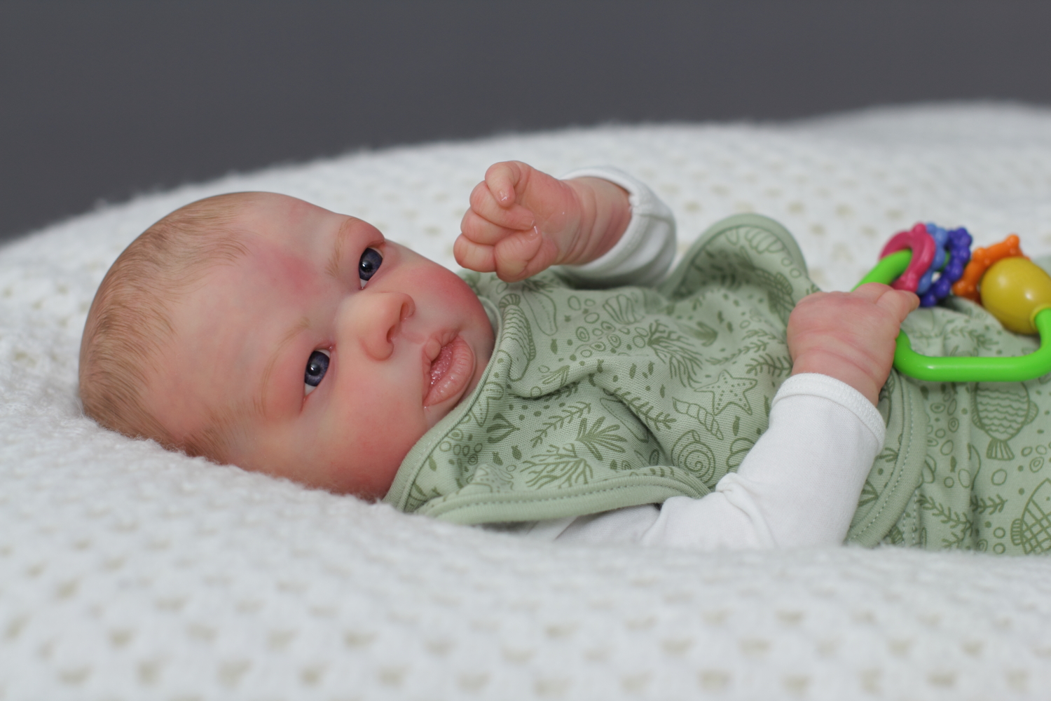 Reborn Baby Boy Drake by Nikki Holland