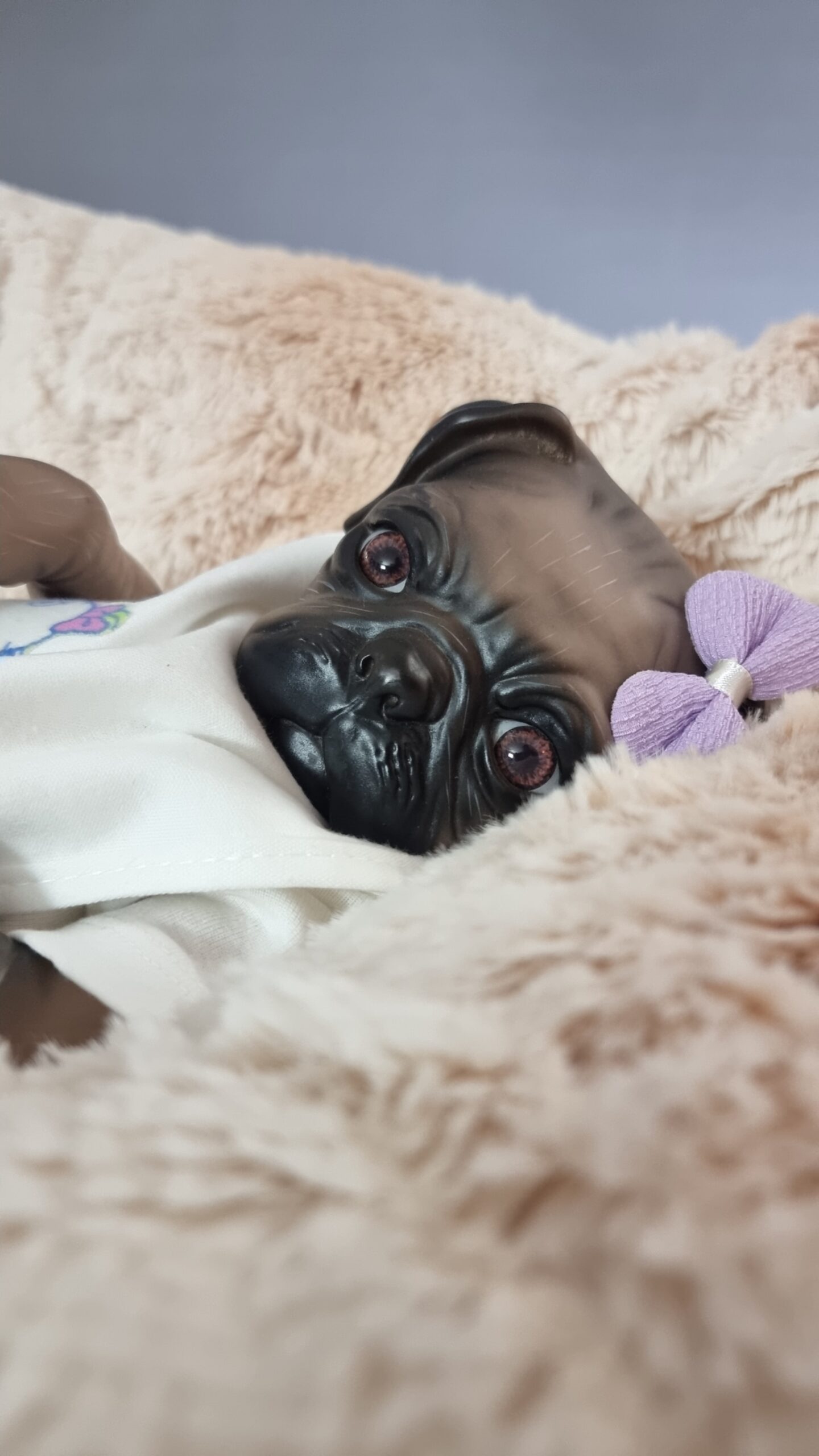 Pug by Bountiful Baby - Image 7